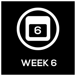 Icon_Template_Week6